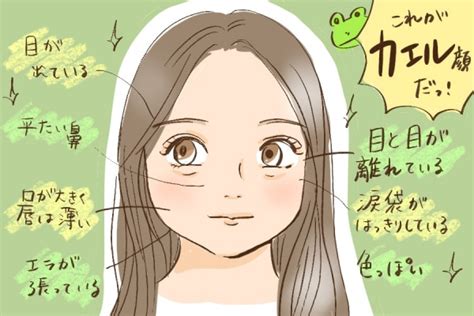 カエル顔 女性|カエル顔とは？ 7つの特徴とカエル顔芸能人【診断付。